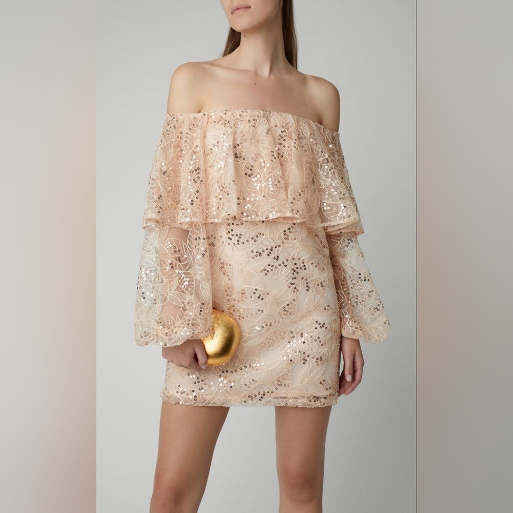 NWT off shoulder embelished dress